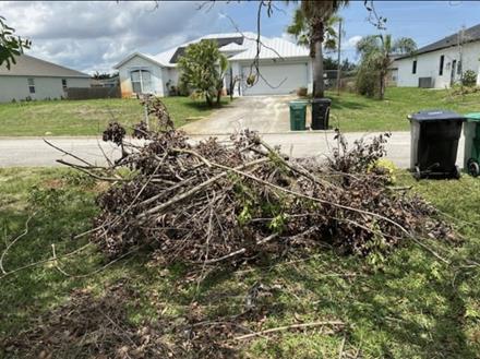 pile of yard waste branches twigs leaves on grass by road